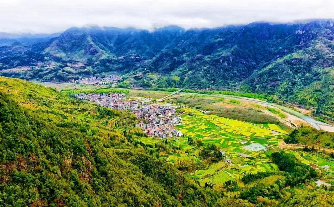 浙江永嘉：千亩稻鱼共生基地带动农民增收