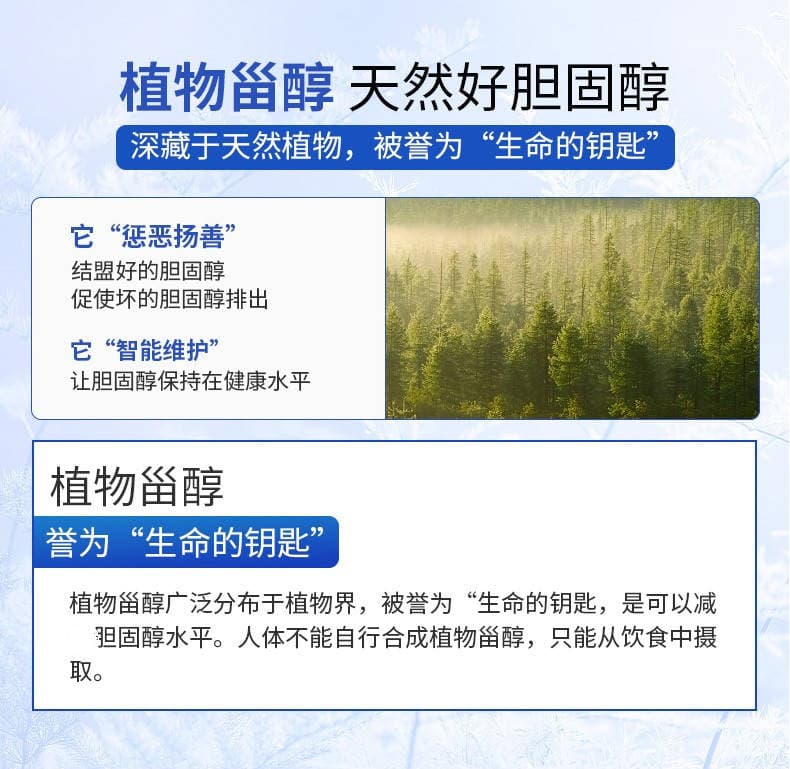 什么是植物甾醇？有哪些作用，存在于哪些食物中？
