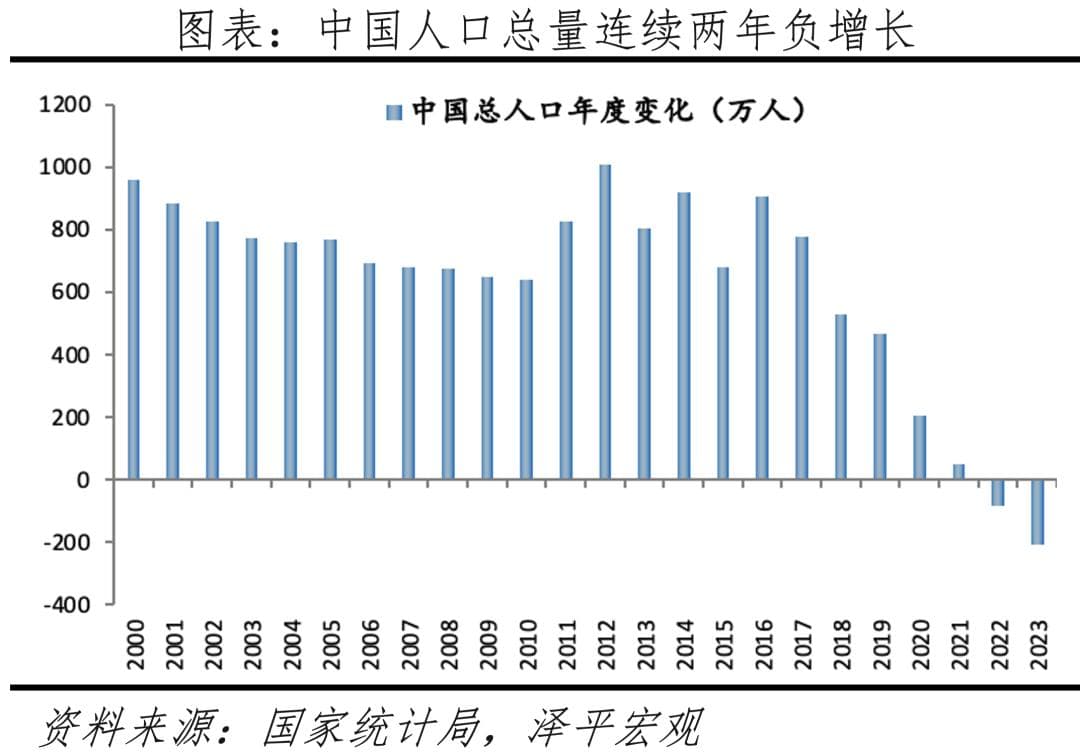 大国人口：少子老龄化时代的新挑战与新机遇