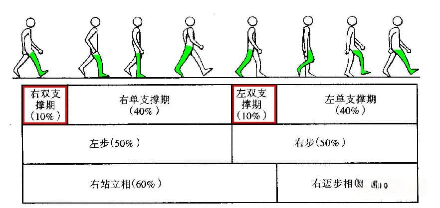 步态常用参数及常见异常步态