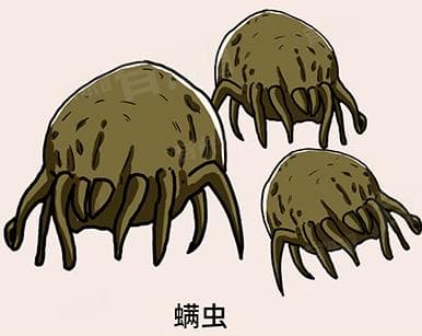 眼睛有螨虫能自愈吗