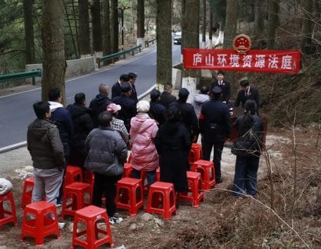 【以案说法】两名厨师贪口腹之欲，猎捕“石鸡”“野蛇”获刑