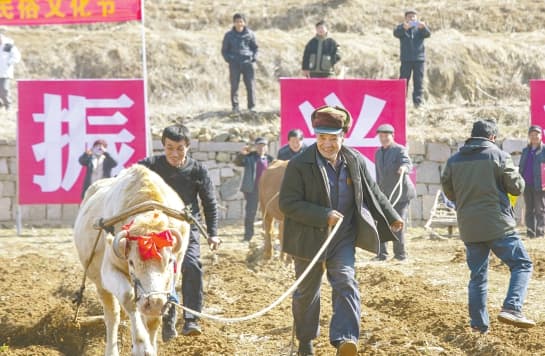 岚山区：闹春牛 盼丰收