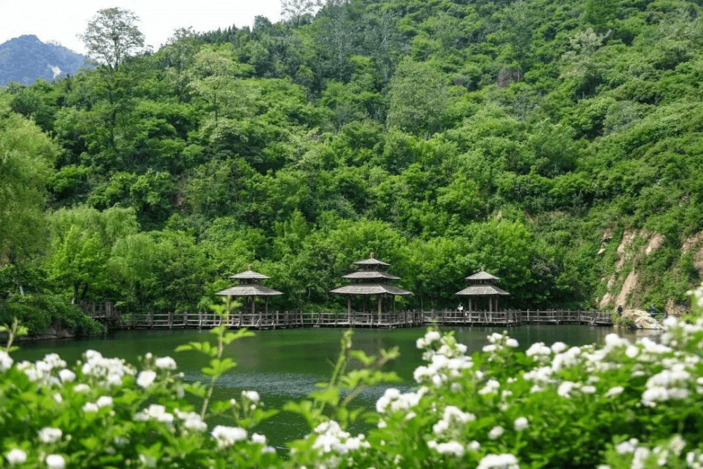 奔赴齐鲁“天然氧吧”，在深呼吸中邂逅绿意春天