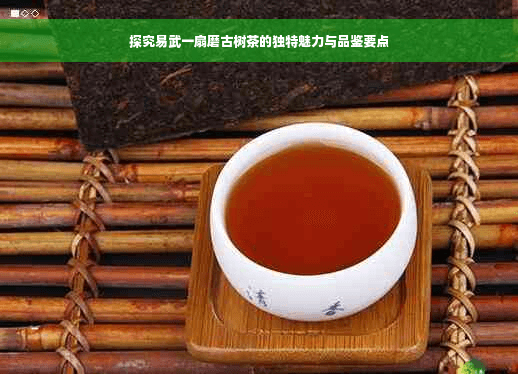 探究易武一扇磨古树茶的独特魅力与品鉴要点