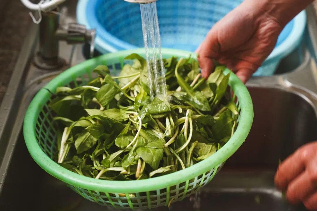 回味无穷的春菜，快来尝试这道香干马兰头