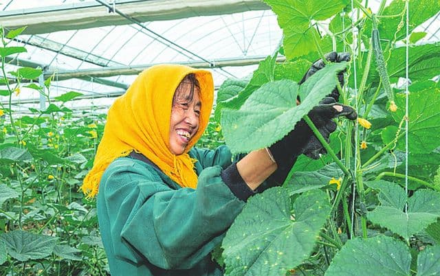 山西长治潞州区：盘活闲置资源 实现村强民富