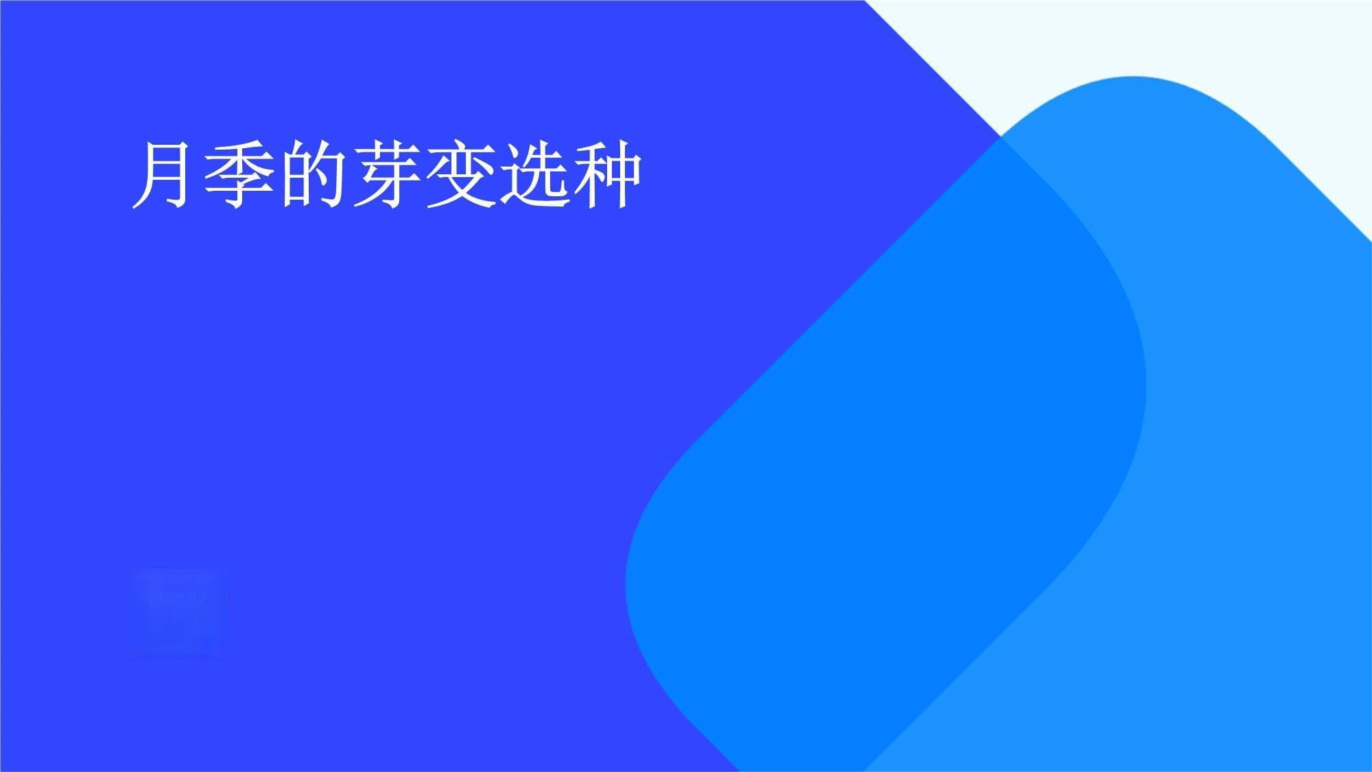 月季的芽变选种