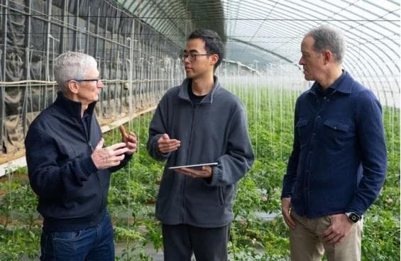 特稿 | 苹果CEO来北京逛农场，中国的农业科技有多牛？