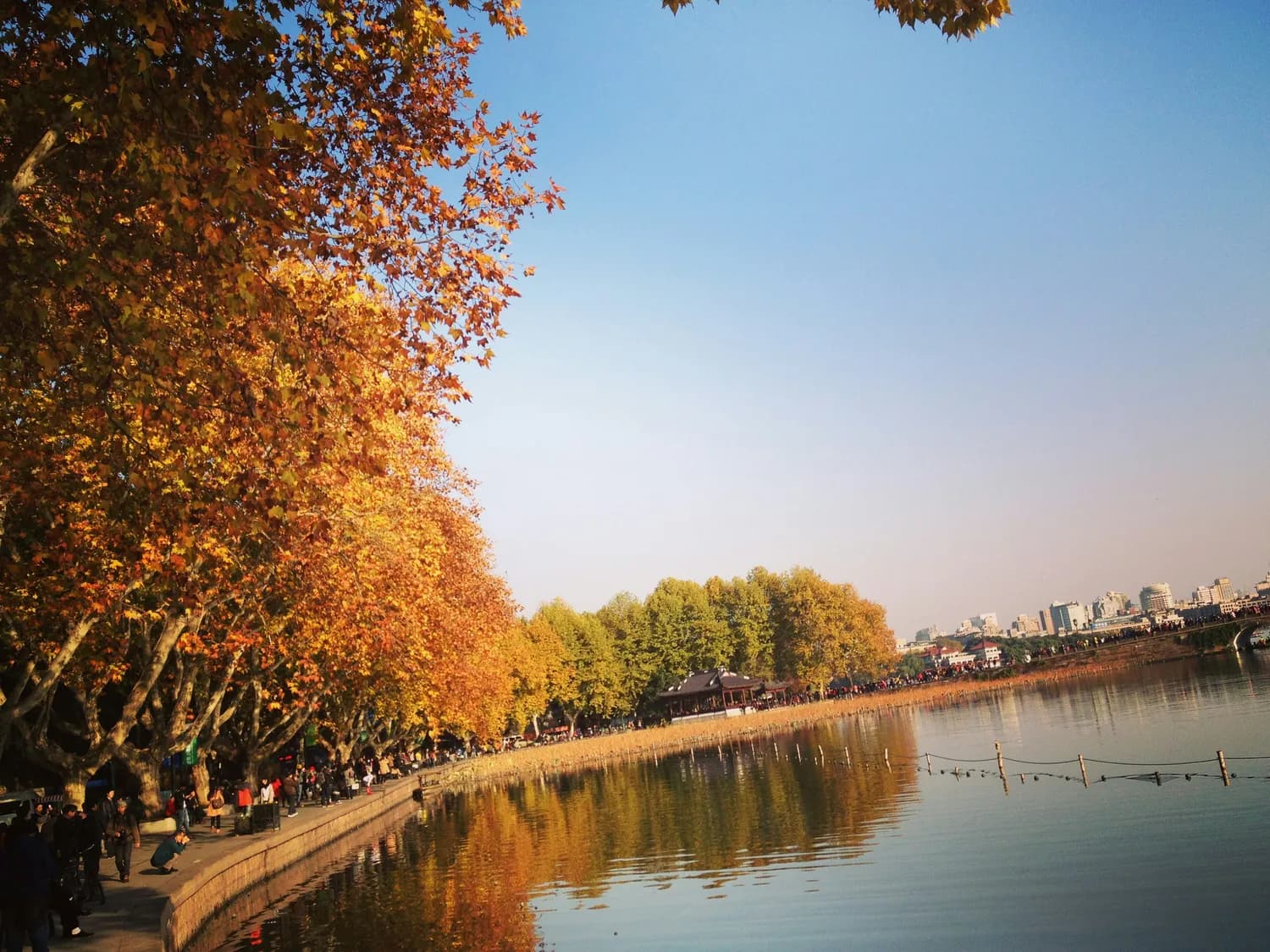 玄武湖畔秋意浓：南京自然景观打卡指南