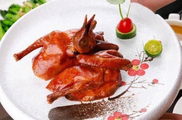 俗话说“一鸽胜九鸡”，吃鸽子肉有哪些好处？