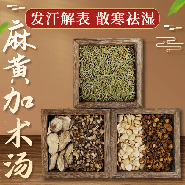 麻黄加术汤临床应用详解