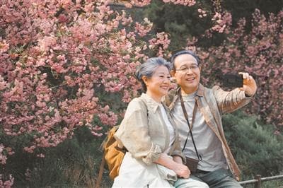 带父母去旅游，出发前竟要宣誓？