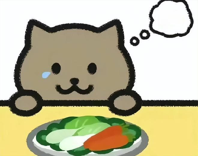 官方公布“胖猫事件”调查结果：正常恋爱关系，并非单向付出