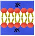 核心素养导向下的微课教学设计——以“对细胞膜成分的探索”为例
