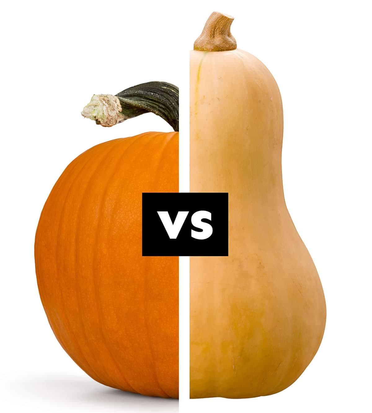 Pumpkin与Squash：都是南瓜，有什么区别？