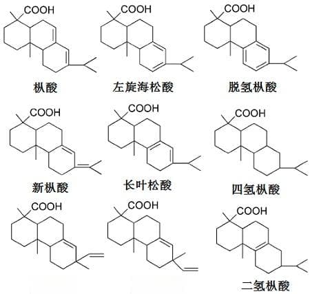 松香：一种重要天然树脂的化学成分与应用