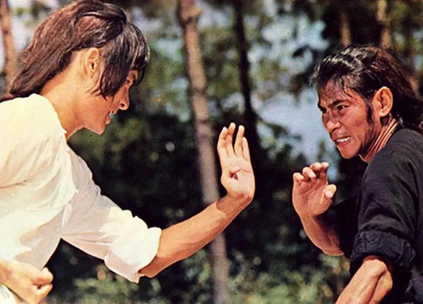 洪熙官与方世玉：武侠剧中的武林传奇是否确有其人？