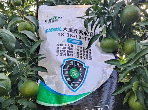柑橘施肥方法，避免无效投入