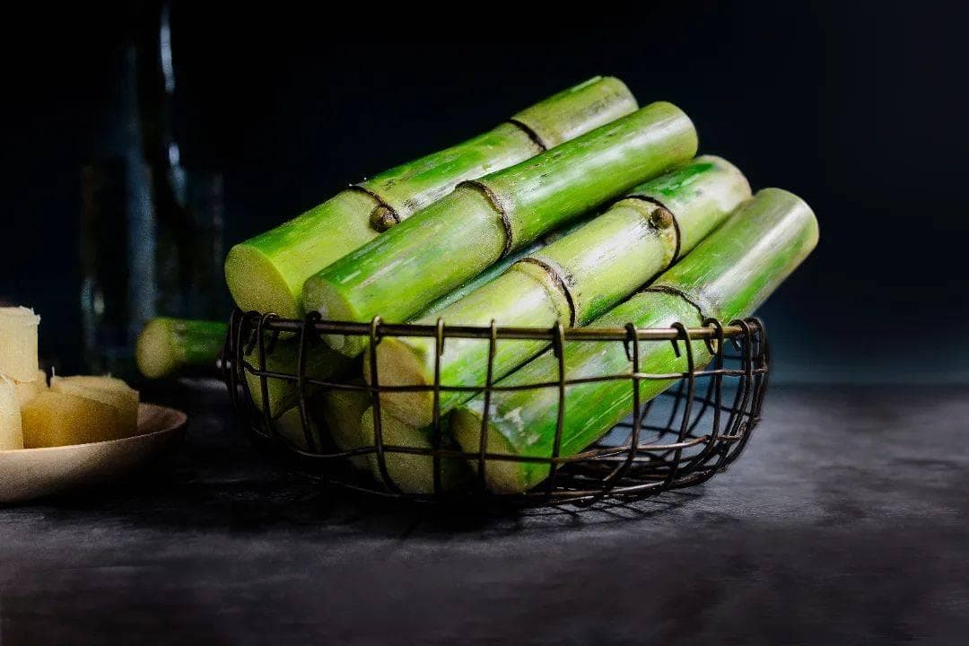 甘蔗不只是水果，还是中医眼中的“天生复脉汤”