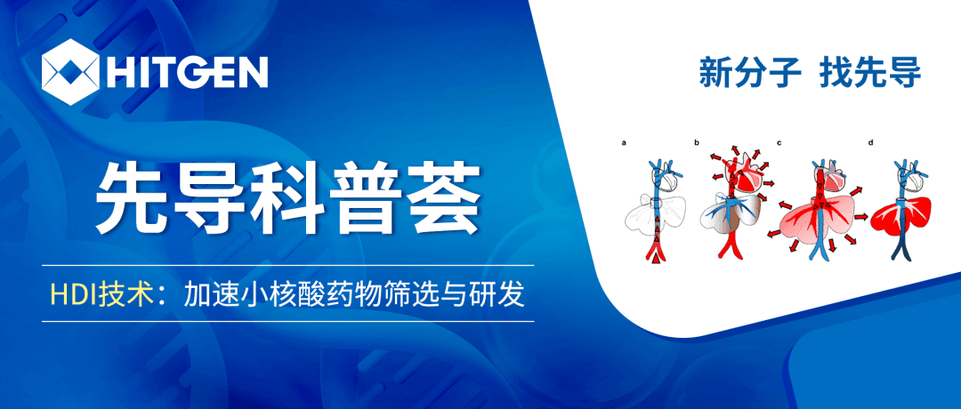 HDI技术：加速小核酸药物筛选与研发