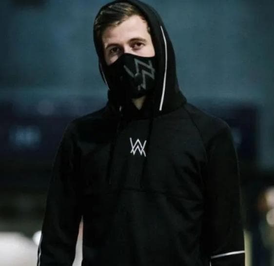 Alan Walker#艾伦·沃克简介资料