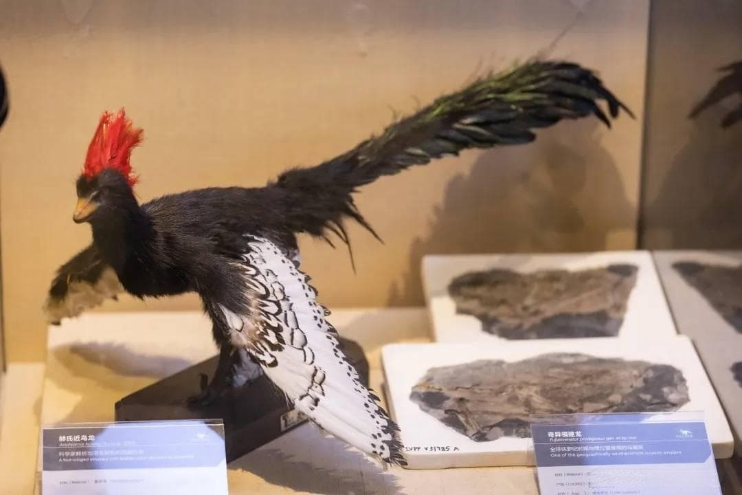 你不知道的事：地球还存在恐龙后裔？科学家找到确凿证据