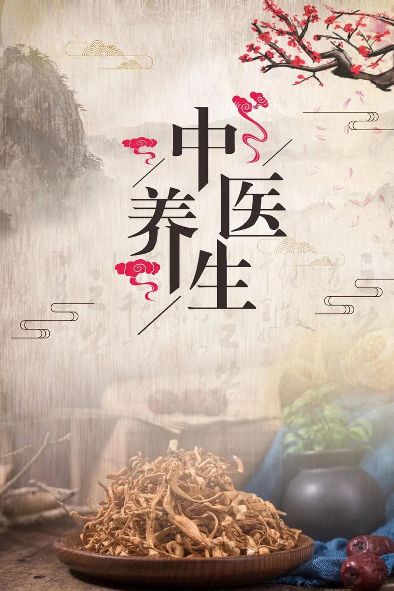 中医理疗养生，探索古老智慧与现代生活的融合