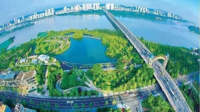 枷锁背后的文化与社会因素研究