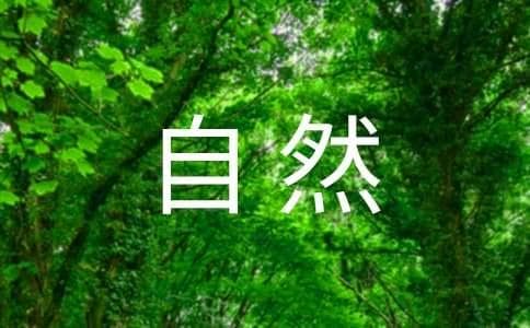 描写大自然的现代诗歌