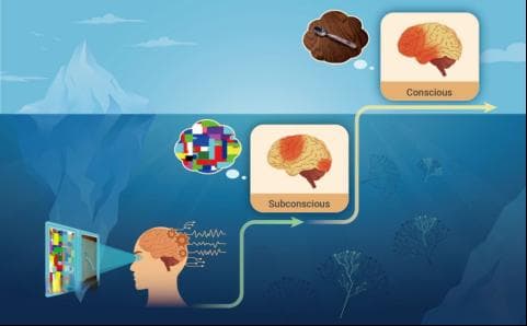 深圳科学家团队最新研究成果，从视觉感知理解意识