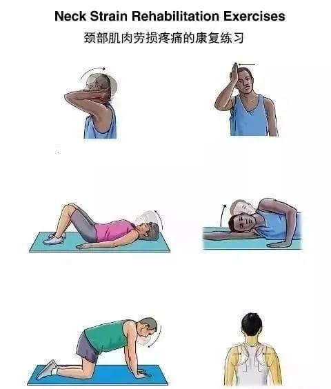 收藏！全身各部位常见疼痛康复训练图解