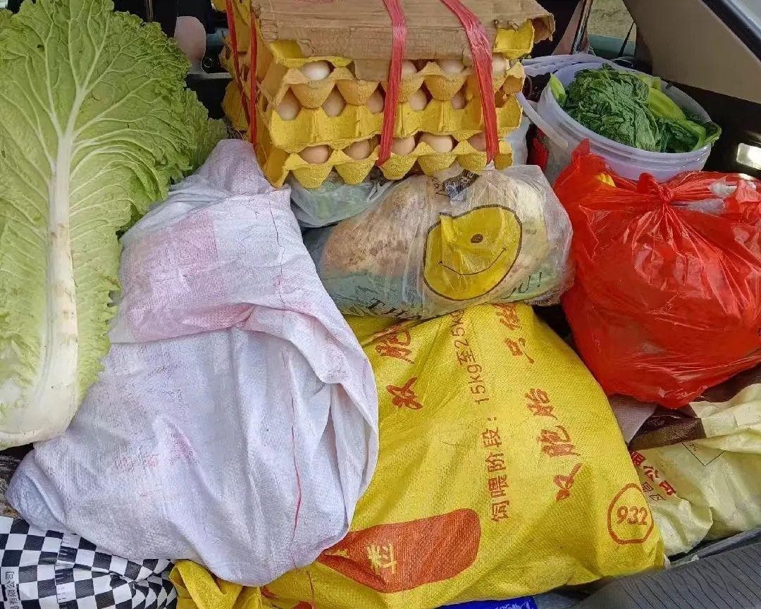鸭肉和它天生一对，随手一焖绝了！滋补营养，引爆味蕾、好吃到吮指