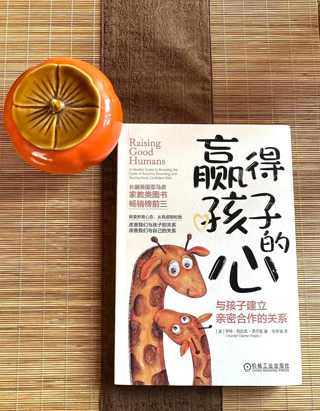 《赢得孩子的心》：一本帮助家长与孩子建立和谐关系的实用指南