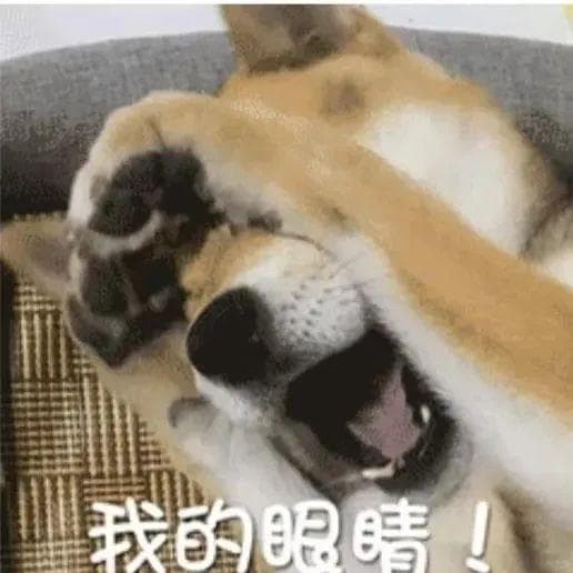眼睛边的“小疙瘩”、睫毛倒长...眼科日间手术全部搞定！