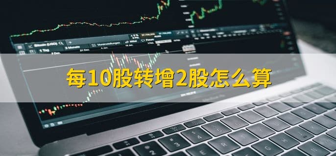 每10股转增2股怎么算，每持有10股可以转增2股