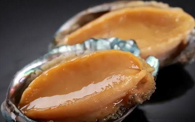 鲍鱼最佳搭配的食物？这些搭配吃过吗？