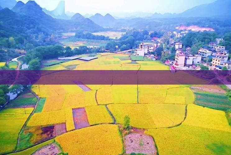 从海拉尔到禾木：穿越草原沙漠的新疆美食之旅
