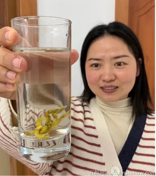 石斛煮水喝比嚼着吃的区别