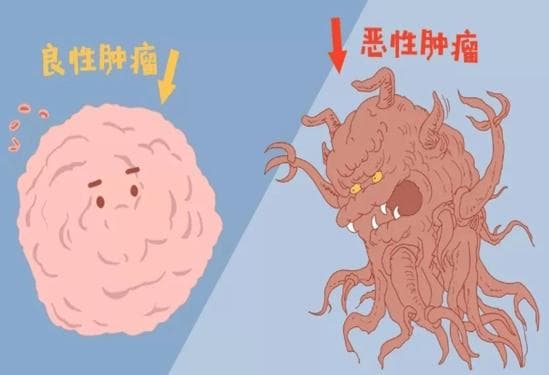 了解肿瘤更全面，预防治疗不再可怕