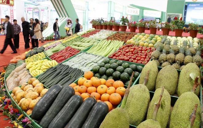 中国两大宝岛：台湾岛和海南岛，自然条件谁更好？