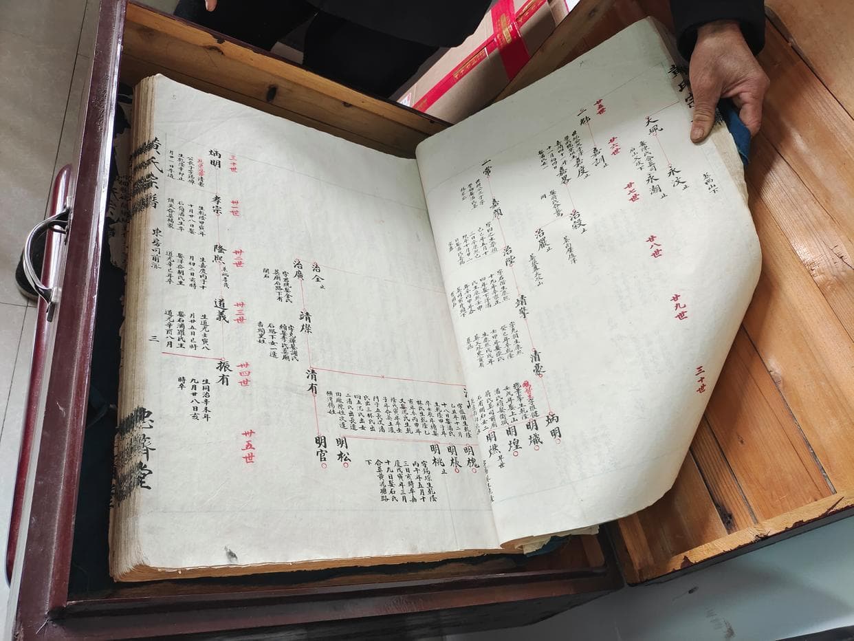查谱攻略：信息不全如何查询自己的家谱？