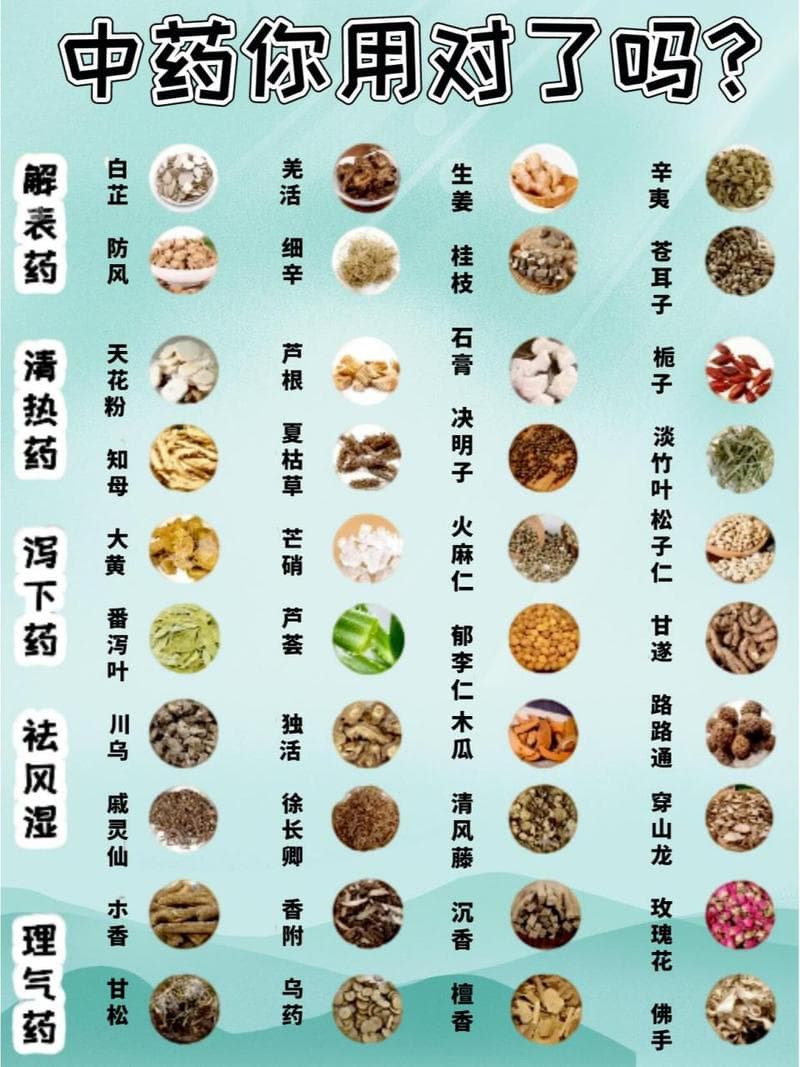 中药大全及功效