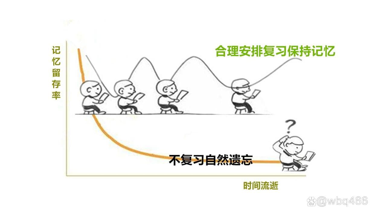 如何根据“遗忘曲线/规律”安排学习和复习，提高记忆效率？
