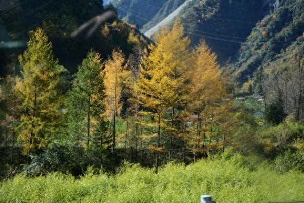 从森林到雪山：成都周边6处未开发美景自驾攻略
