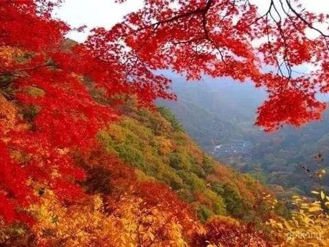 崛围山风景区：四季变换的自然画卷 🌄