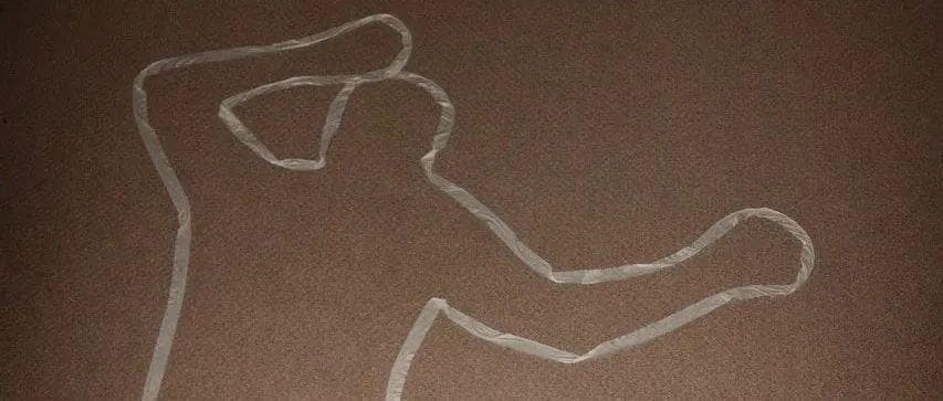 从尸体中诞生，这种"生物"处于生与死之外的第三种状态