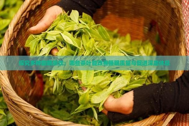 经常喝什么茶有助睡眠？多种助眠茶饮推荐