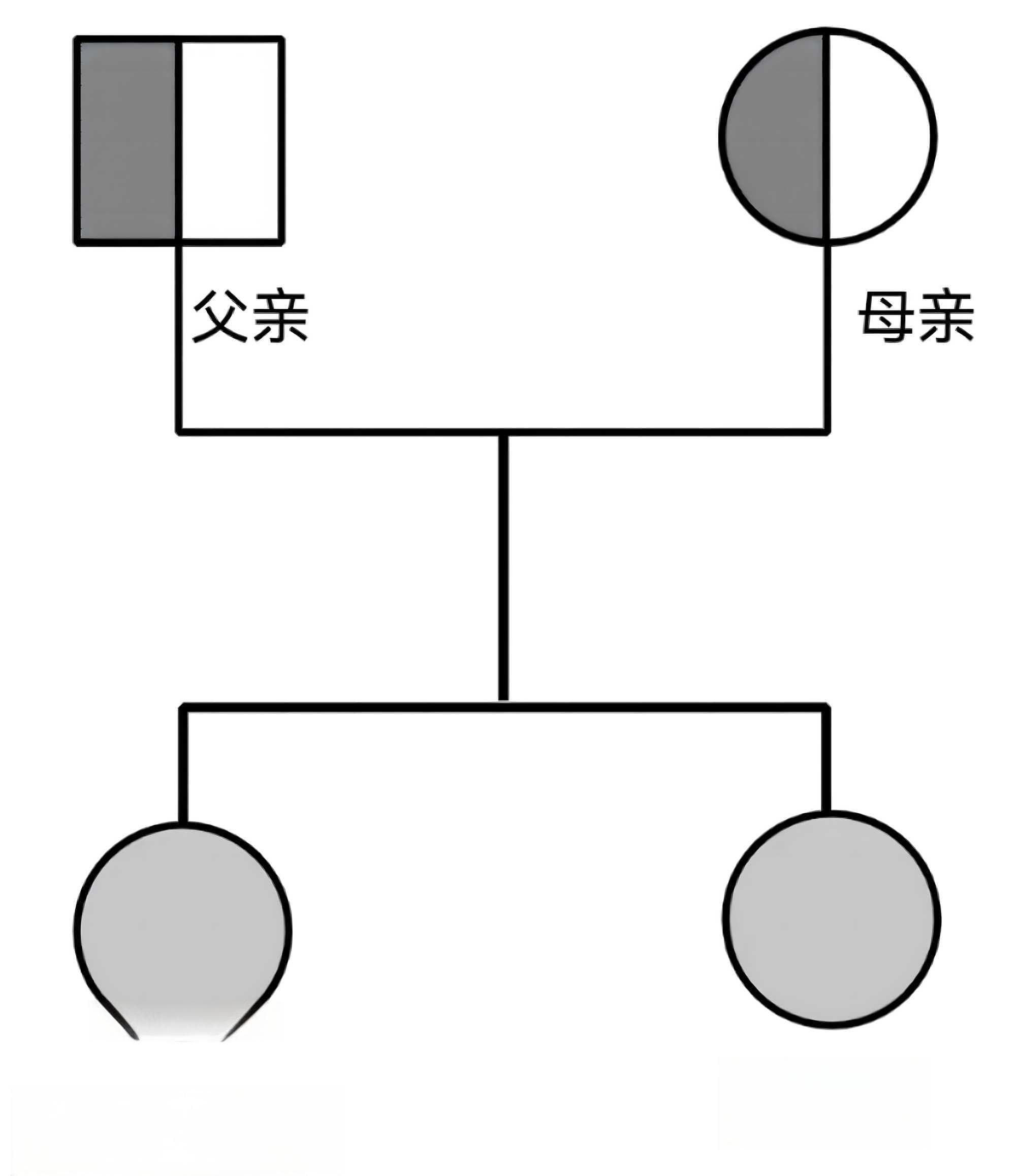 先天性无痛无汗症1例报道并文献复习
