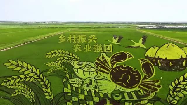 我国现代农业技术：从智能农业到生物农业的全面升级